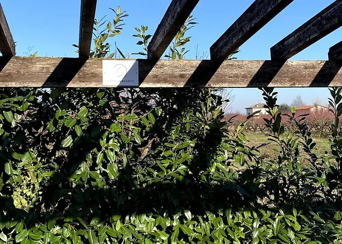 Grenier Blanc2 Elegante Mansarda Апартаменты